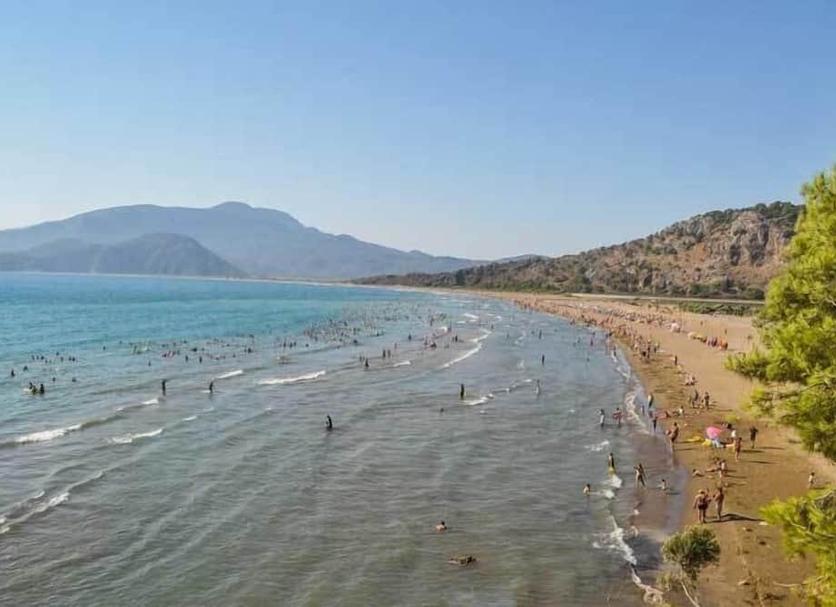 Strand Billede
