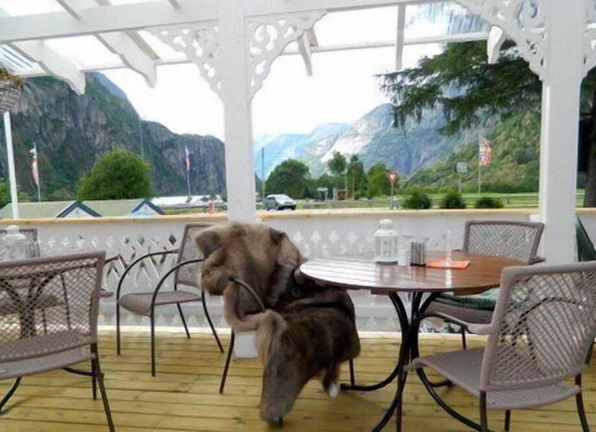 Balkon Billede