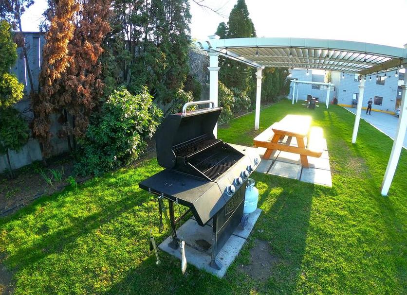 Patio Billede