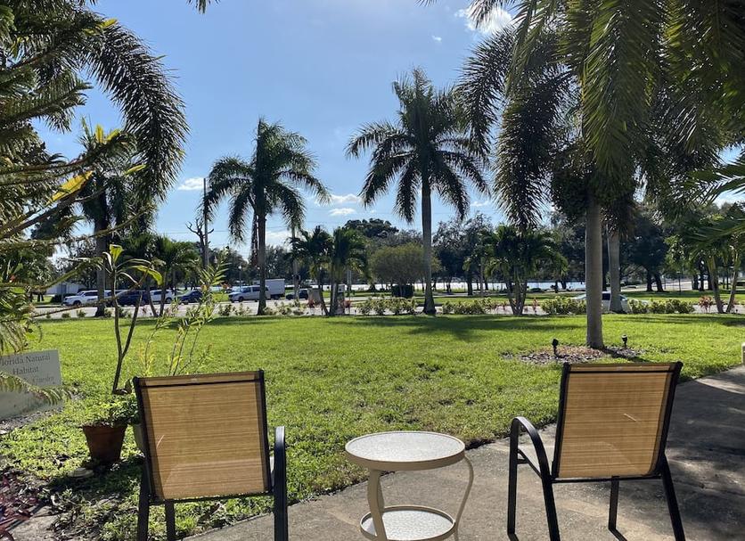 Patio Billede
