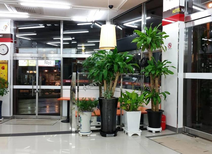 Reception Billede