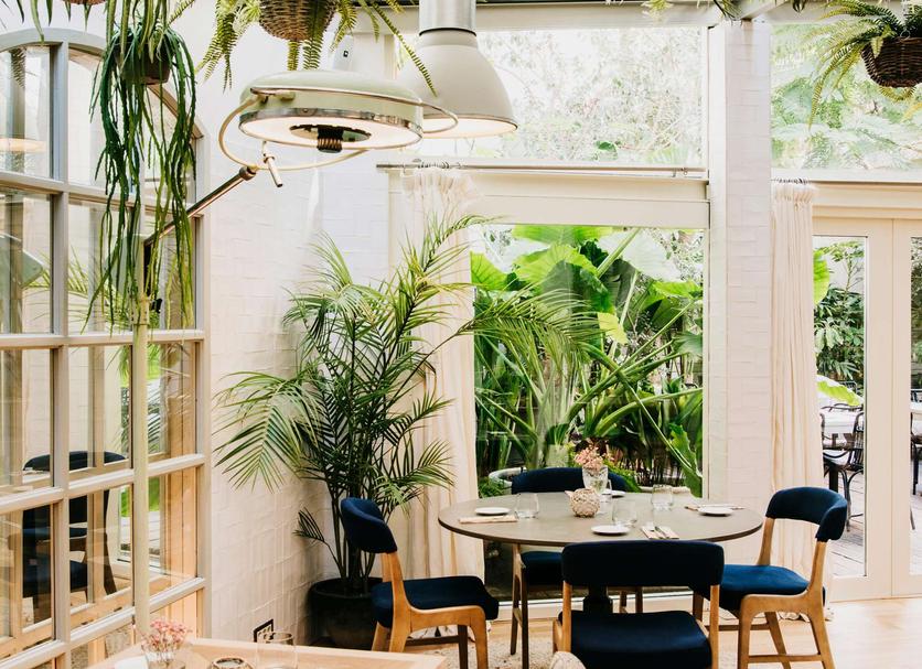 Patio Billede