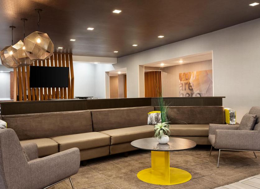 Lounge Billede