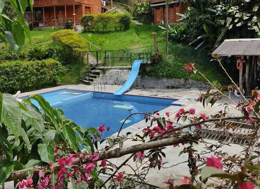 Pool Billede