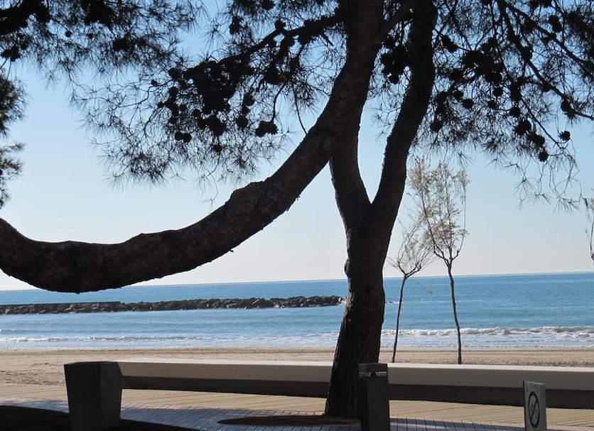 Strand Billede