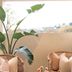 Andet