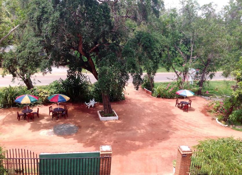 Patio Billede