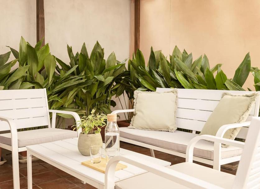 Patio Billede