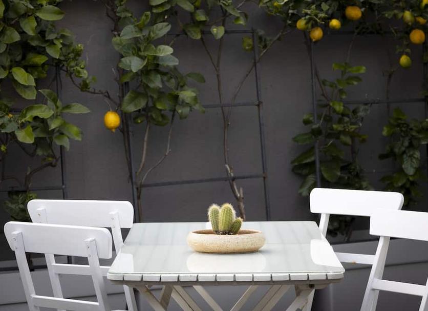 Patio Billede