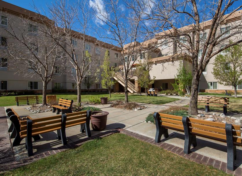 Patio Billede