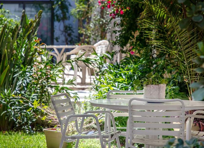 Patio Billede