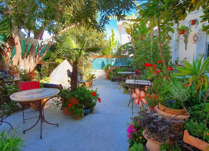 Patio Billede