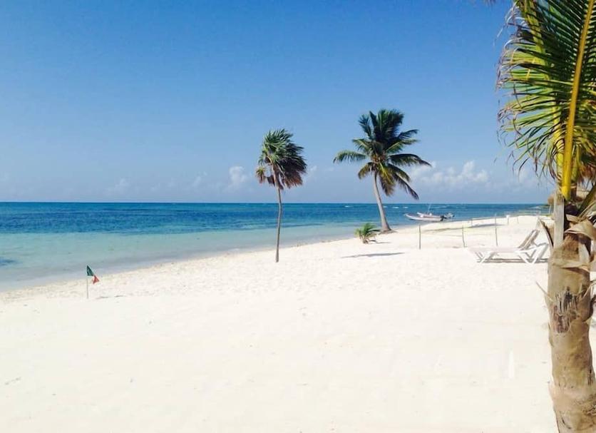 Strand Billede