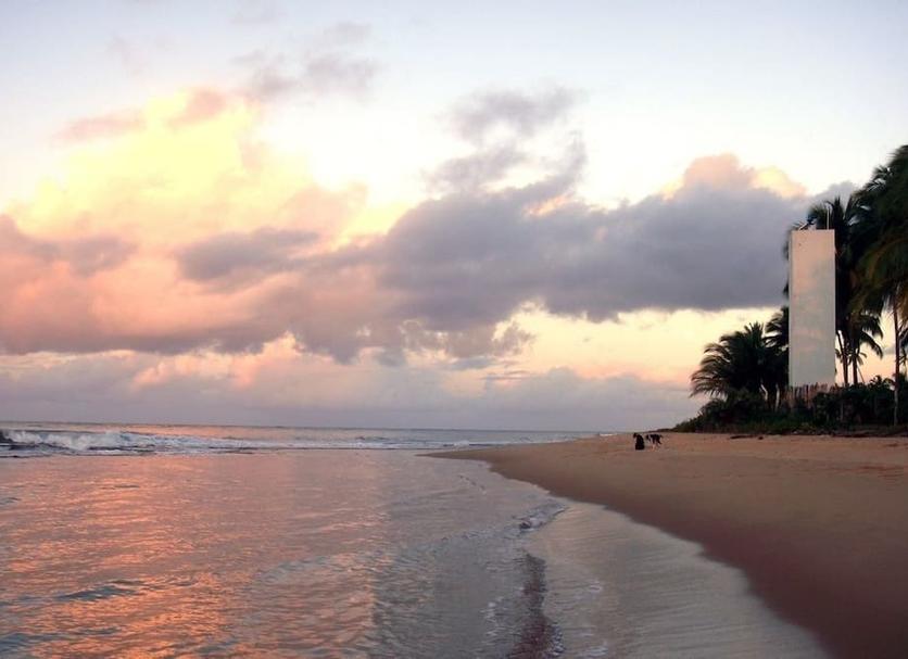 Strand Billede