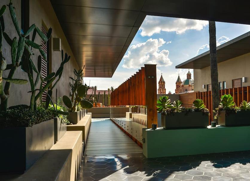 Patio Billede