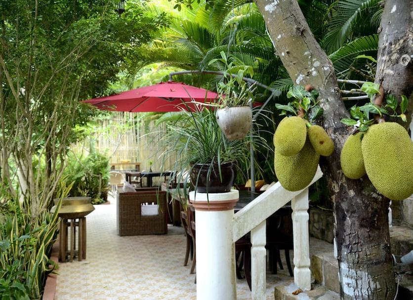 Patio Billede