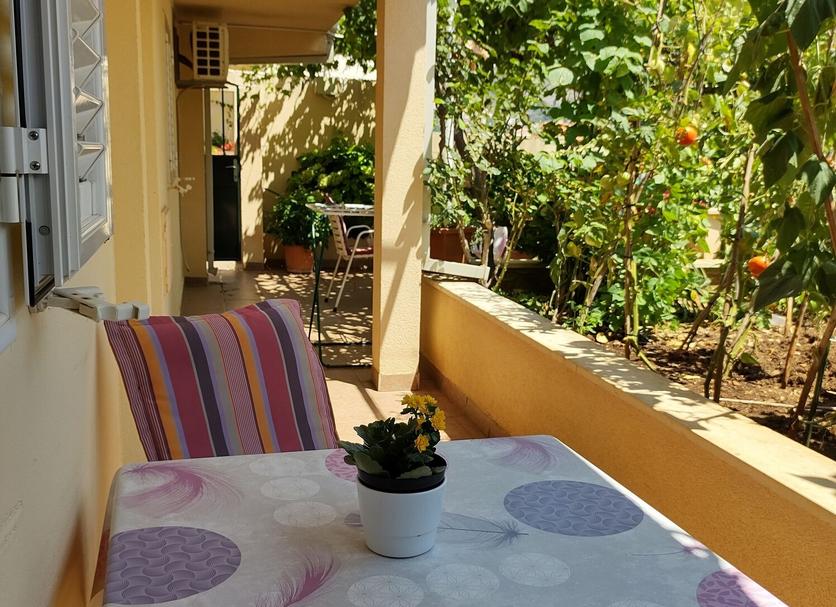 Patio Billede