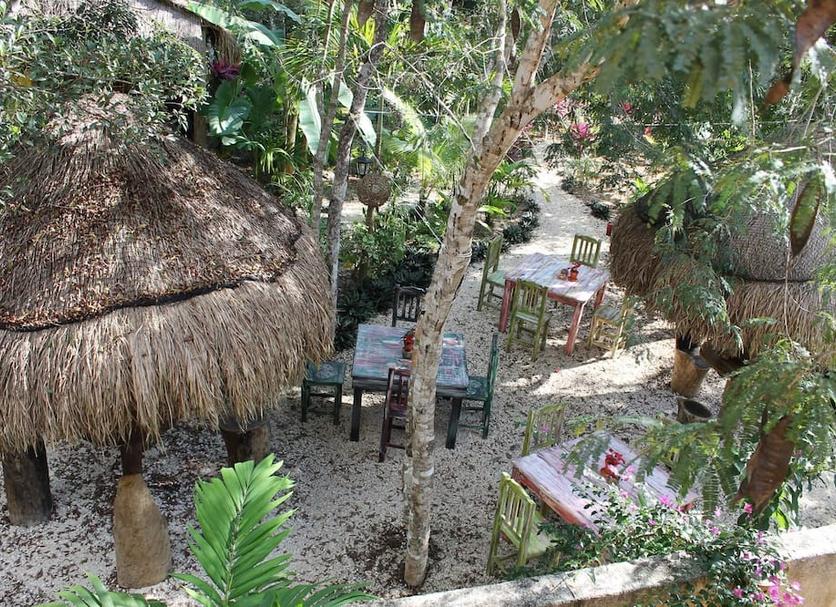 Patio Billede