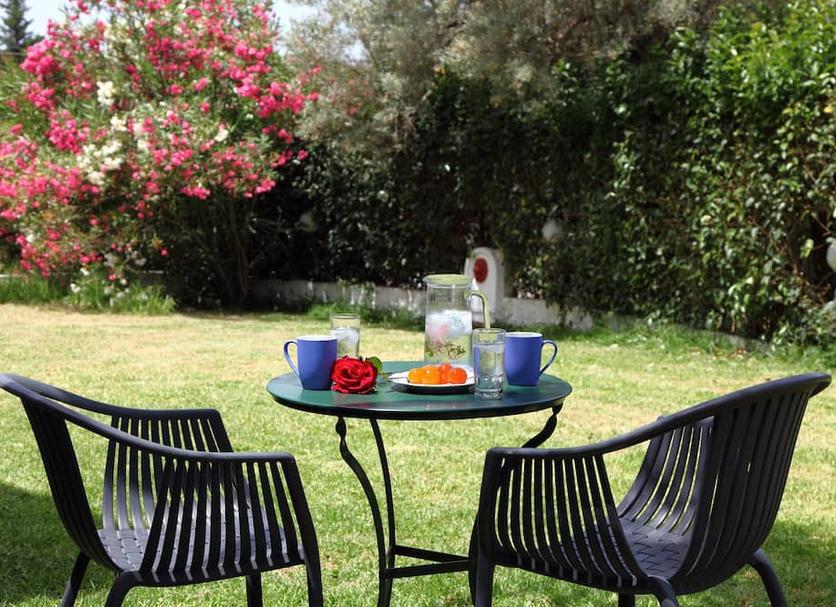 Patio Billede