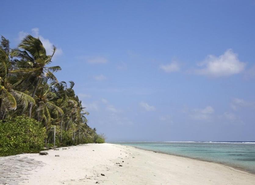 Strand Billede