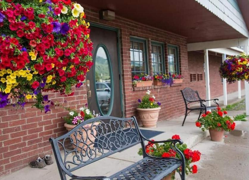 Patio Billede