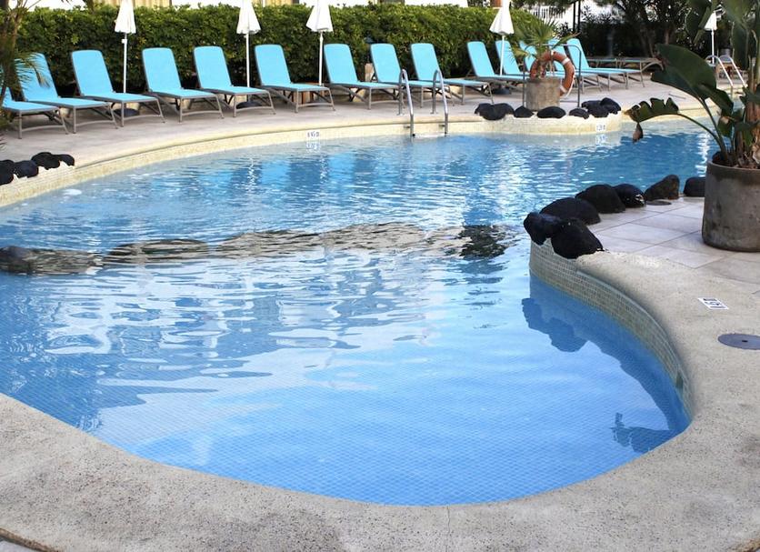 Pool Billede