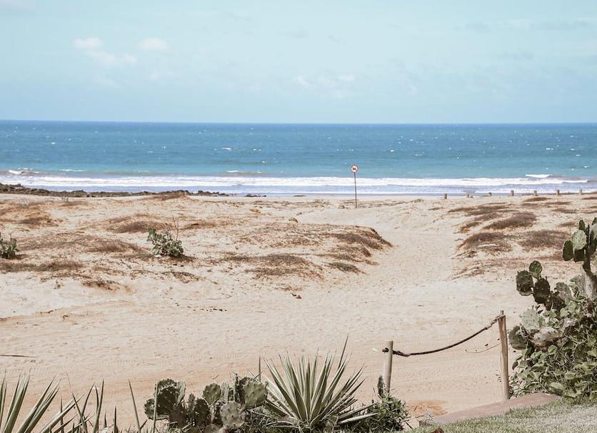 Strand Billede