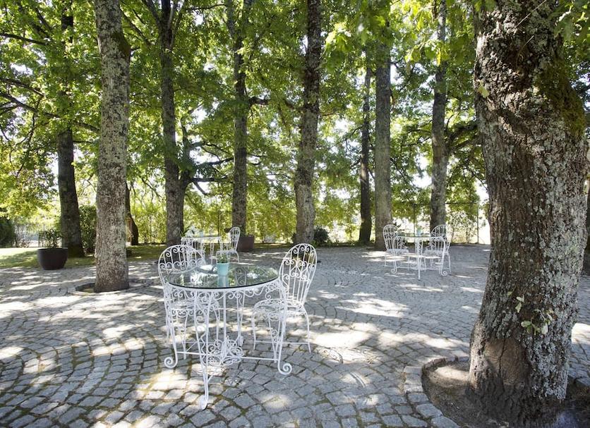 Patio Billede