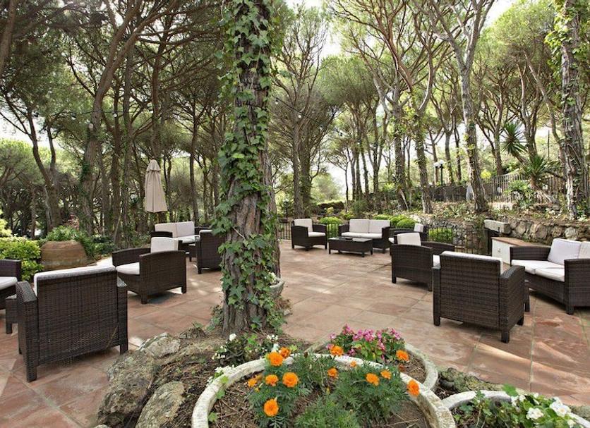 Patio Billede