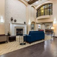 Comfort Inn & Suites Airport-American Way