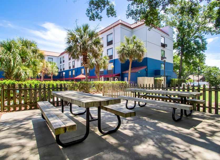 Patio Billede