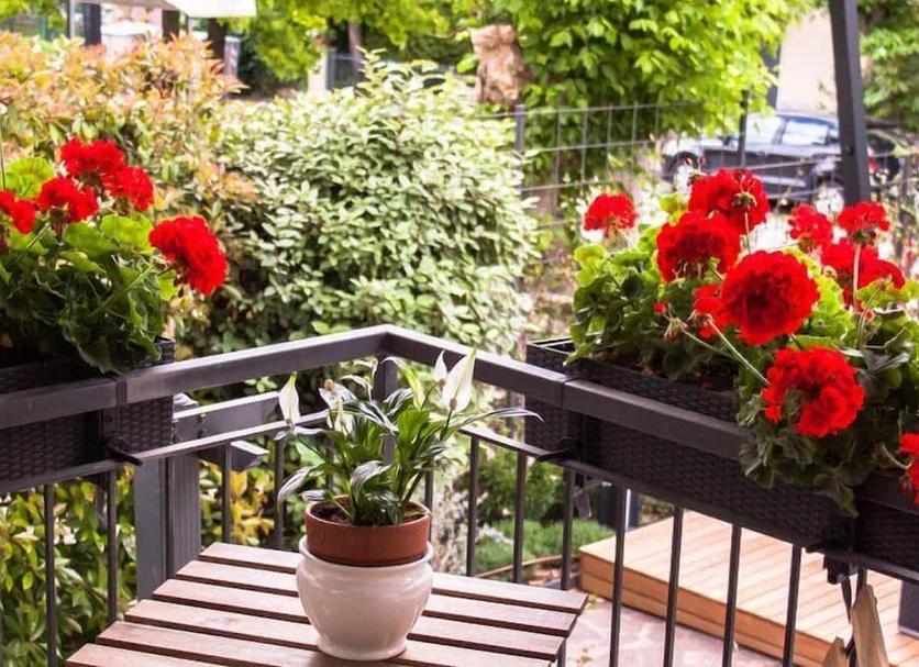 Balkon Billede