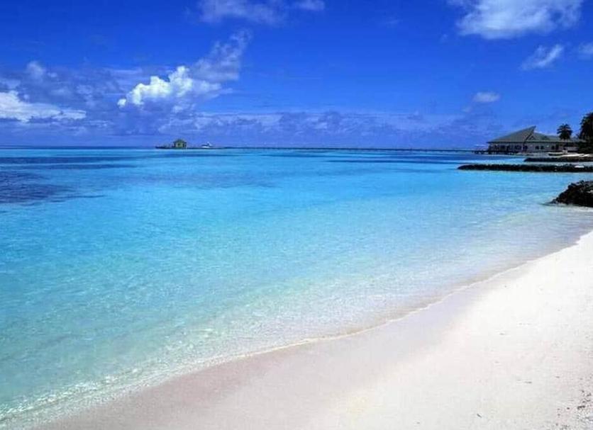 Strand Billede
