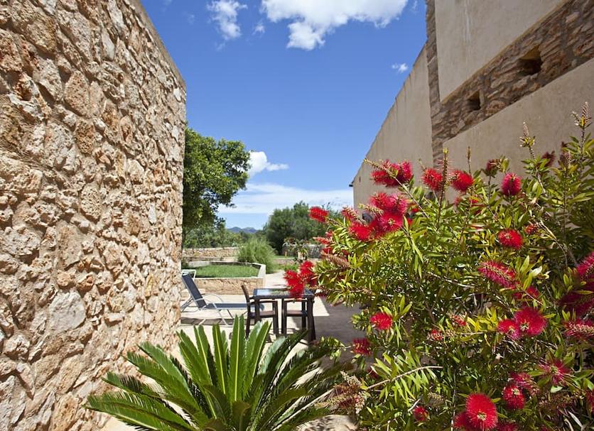 Patio Billede