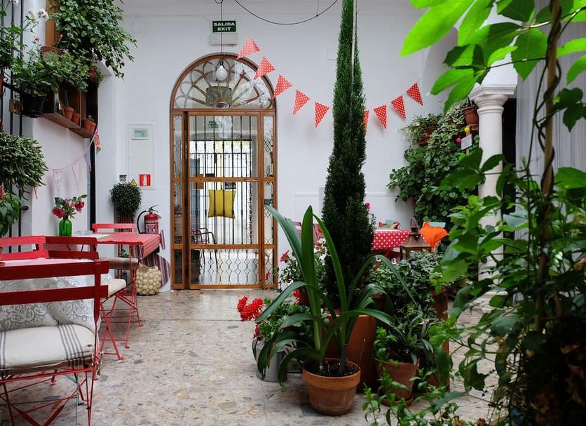 Patio Billede