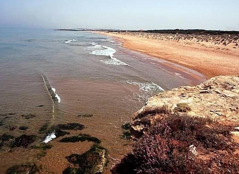 Strand Billede