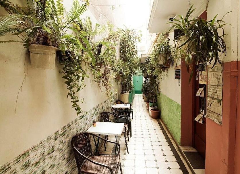 Patio Billede
