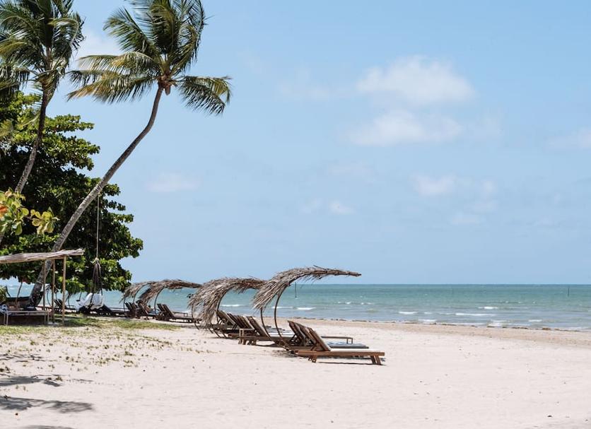 Strand Billede