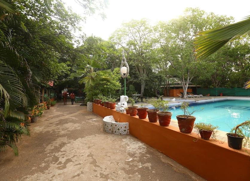Pool Billede
