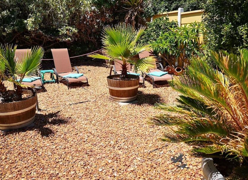 Patio Billede