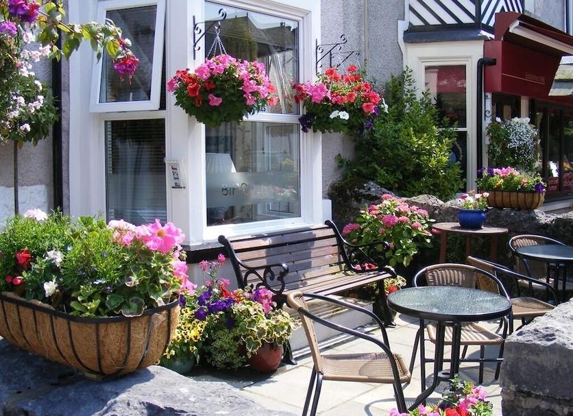 Patio Billede