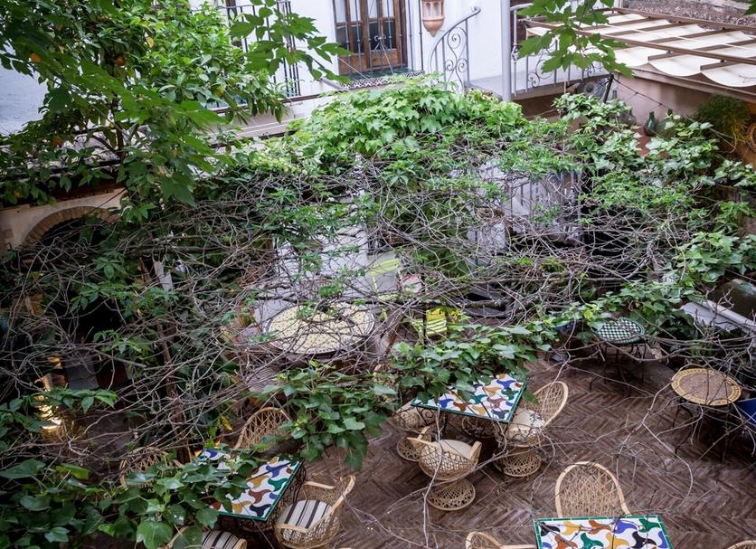 Patio Billede