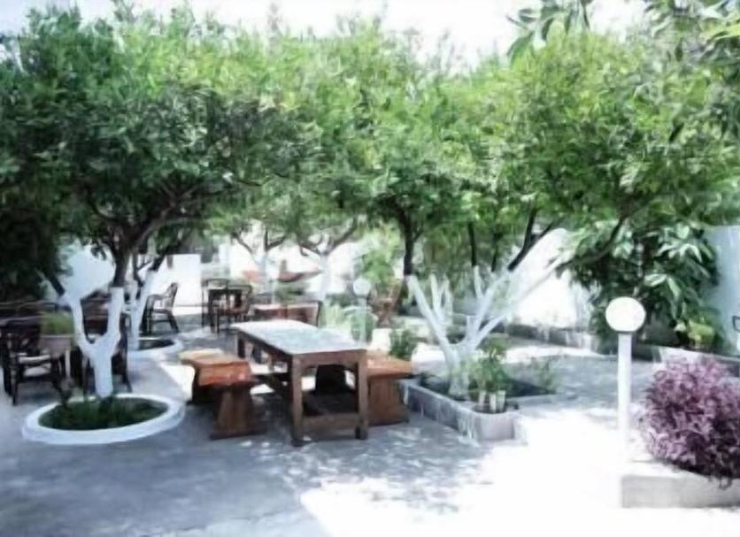 Patio Billede