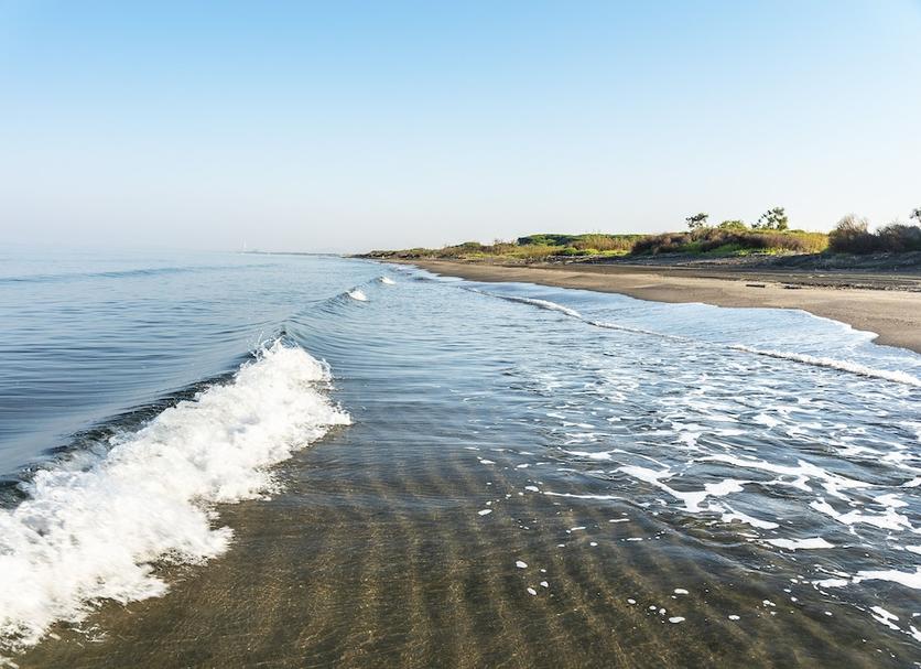 Strand Billede
