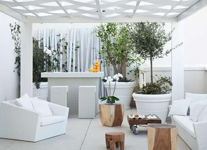 Patio Billede