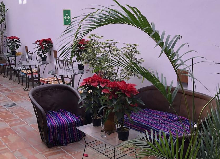 Patio Billede