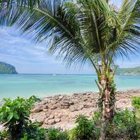 Phi Phi Cozy Seafront Resort