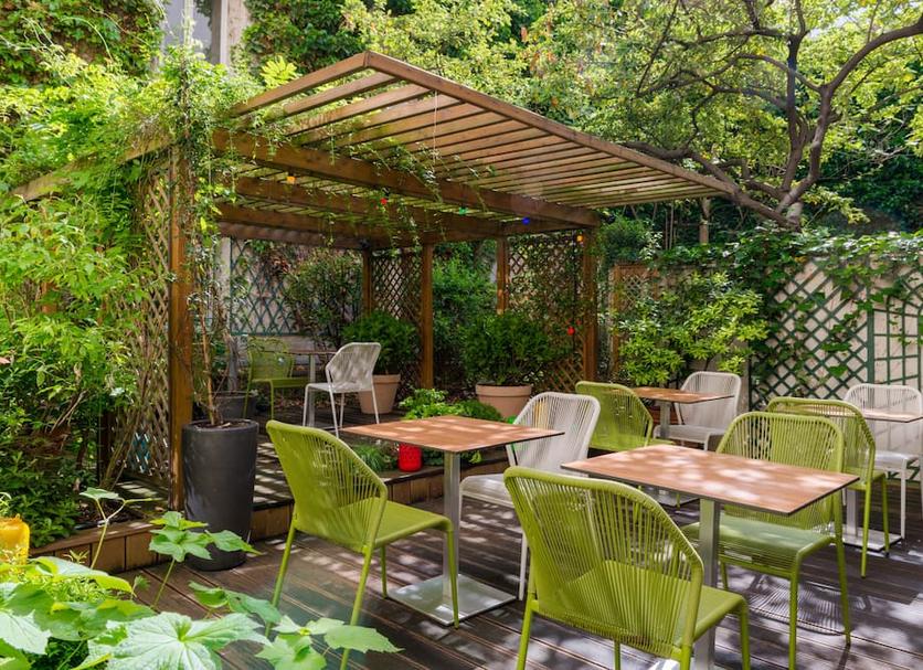 Patio Billede