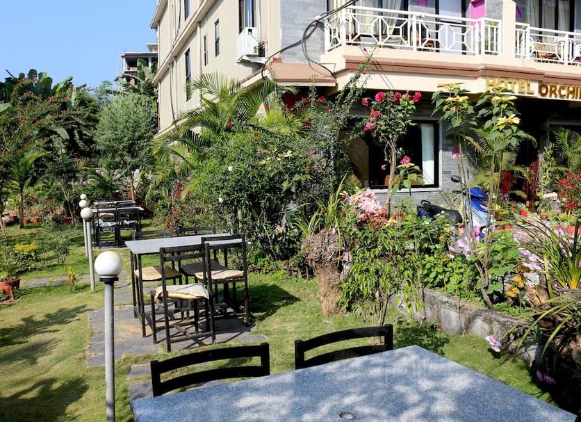 Patio Billede