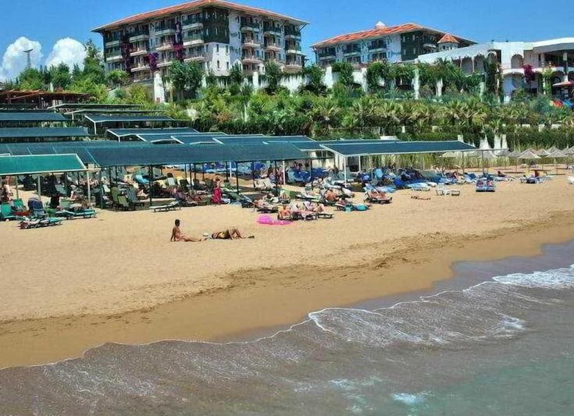 Strand Billede